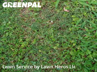 Grass Cutting nearby Greensboro, NC, 