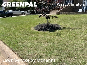 Grass Cut nearby Arlington, TX, 