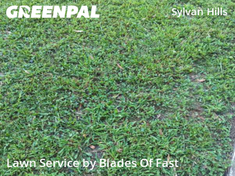 Lawn Cutting nearby Atlanta, GA, 