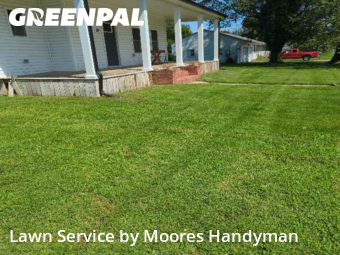 Yard Maintenance in Magnolia, 19962, Backyard Mowing by Moores Handyman, work completed in Nov , 2025