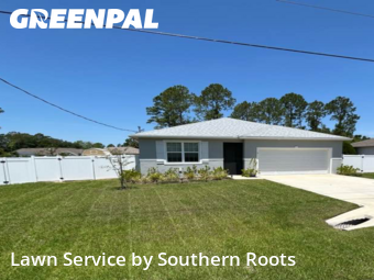 Grass Cut nearby Palm Coast, FL, 