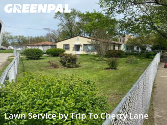 Lawn Cut nearby Robbins, IL, 