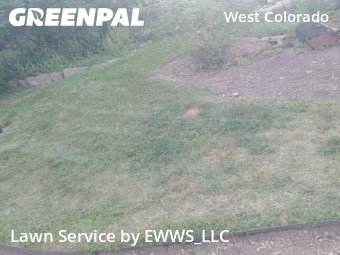 Grass Cutting nearby Manitou Springs, CO, 