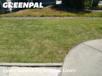 Lawn Mowing nearby Santa Rosa, CA, 