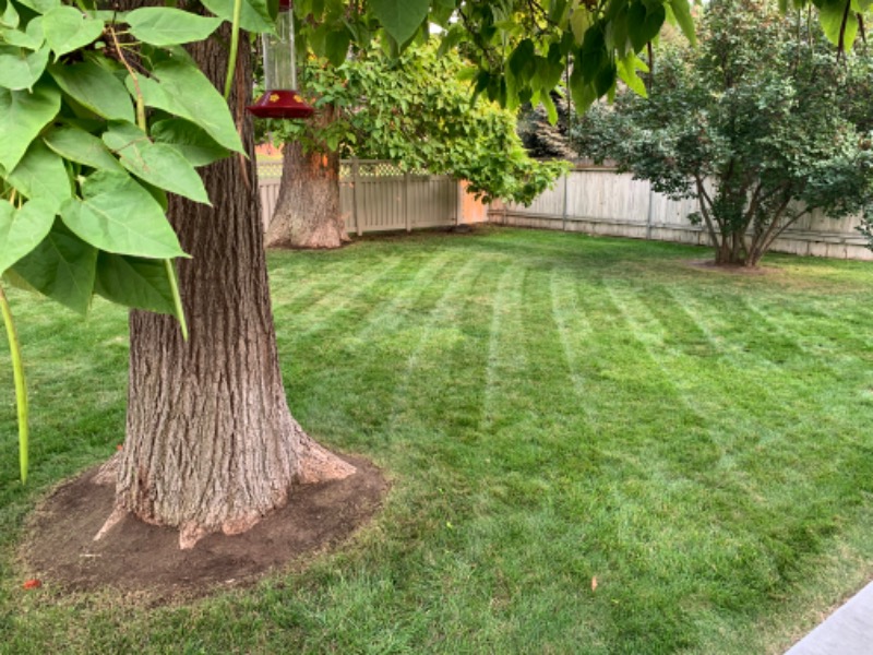 Gem State Landscapes Lawn Care Services in Meridian, ID
