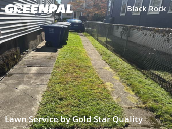 Yard Upkeep in Bridgeport, 6605, Turf Services by Gold Star Quality , work completed in Nov , 2025