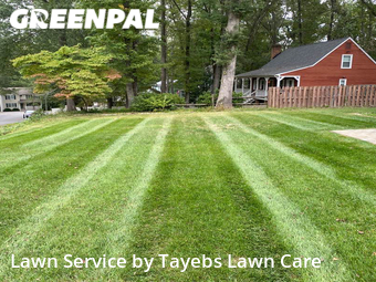Lawn Mow nearby Richmond, VA, 