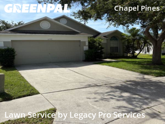 Lawn Service nearby Wesley Chapel, FL, 