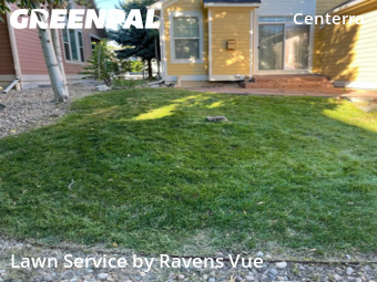 Yard Care Services in Loveland, 80538, Yard Work by Ravens Vue, work completed in Nov , 2025