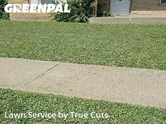 Lawn Mow nearby Moore, OK, 
