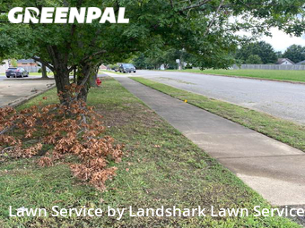 Lawn Care nearby Olive Branch, MS, 