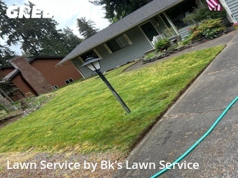 Lawn Mow nearby South Hill, WA, 
