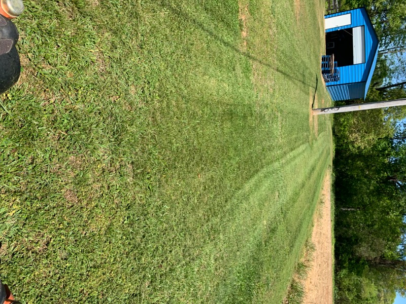 Yard Life Lawn Care Lawn Care Services in Mocksville, NC
