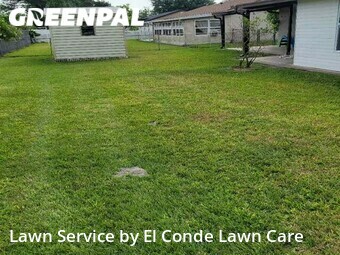 Grass Cut nearby Kissimmee, FL, 