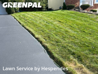 Yard Cutting nearby Pittsburgh, PA, 