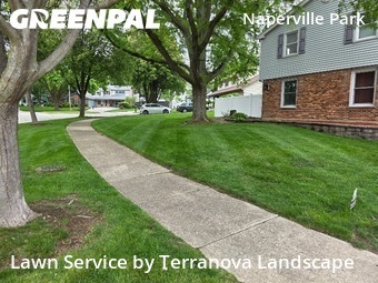 Lawn Mow nearby Naperville, IL, 
