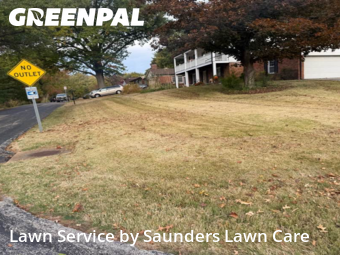 Lawn Carein Ferguson,63135,Yard Cutting by Saunders Lawn Care, work completed in Jun , 2026