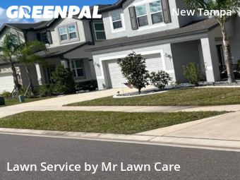 Lawn Cut nearby Tampa, FL, 