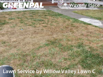 Lawn Service nearby Roanoke, VA, 