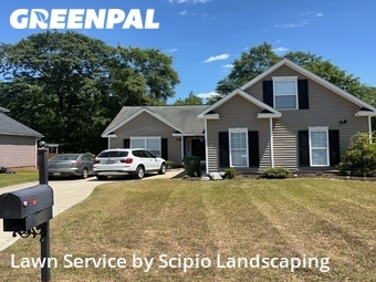 Lawn Care nearby Columbia, SC, 