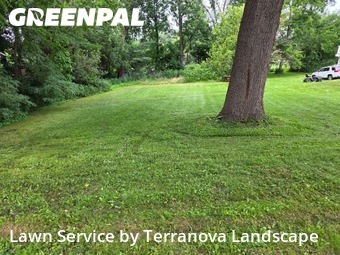 Yard Cutting nearby St. Charles, IL, 