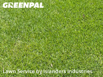 Lawn Care nearby Baton Rouge, LA, 
