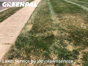 Lawn Maintenance nearby Omaha, NE, 