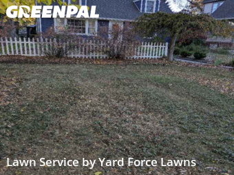 Garden Trimming in Bay Village, 44140, Lawn Cutting by Yard Force Lawns, work completed in Nov , 2025