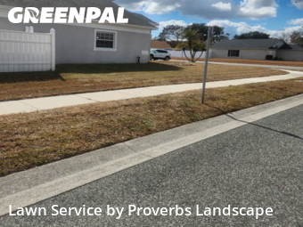 Affordable Landscaping In Orlando,32822,Landscaping Cleanup by Proverbs Landscape, work completed in Feb , 2026