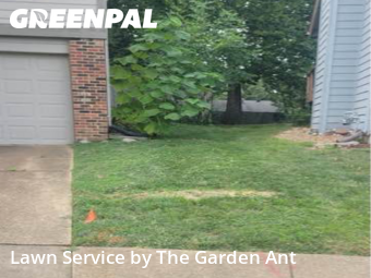 Lawn Maintenancein Ballwin,63021,Lawn Cutting by The Garden Ant , work completed in Dec , 2025