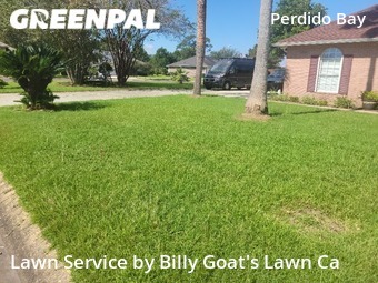 Lawn Care nearby Pensacola, FL, 