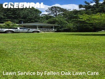 Lawn Mow nearby Rocky Point, NC, 