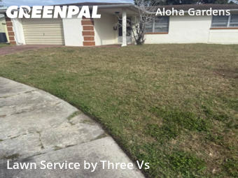 Weekly Mowing in Holiday, 34691, Property Maintenance by Three Vs , work completed in Dec , 2025