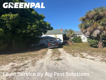 Lawn Cut nearby Tarpon Springs, FL, 