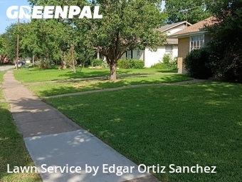 Grass Cut nearby Garland, TX, 