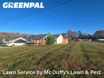 Grass Cut nearby Baneberry, TN, 