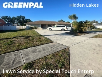 Yard Cutting nearby Palm Harbor, FL, 