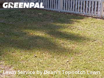 Turf Services in Edwardsville, 62025, Grass Care by Dean's Topnotch Lawn, work completed in Nov , 2025