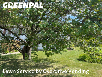 Lawn Care nearby Independence, KY, 