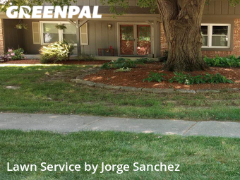 Grass Cut nearby Carmel, IN, 