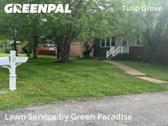 Yard Cutting nearby Nashville, TN, 