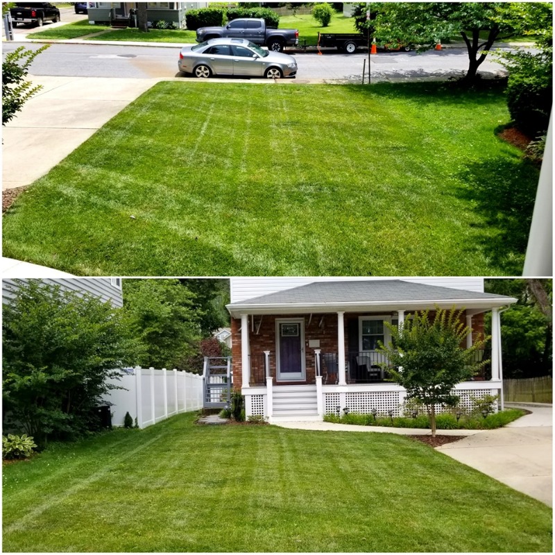 Top Cut Lawn Service Lawn Care Services in Annapolis, MD