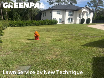 Grass Cutting in Lake Mary, 32746, Yard Upkeep by New Technique, work completed in Nov , 2025