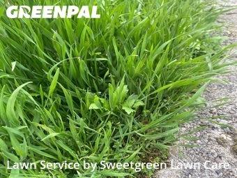 Lawn Care nearby Pittsburgh, PA, 