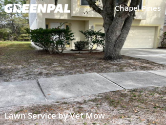 Lawn Mowing Service nearby Wesley Chapel, FL, 