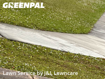 Lawn Cutting nearby Sarasota, FL, 