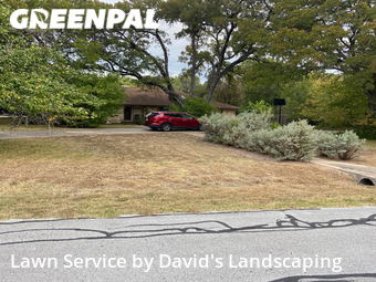 Grass Cut nearby Buda, TX, 