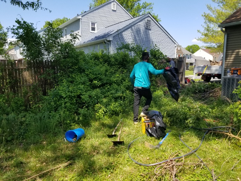 Yard mowing company in Wilmington, DE, 19801