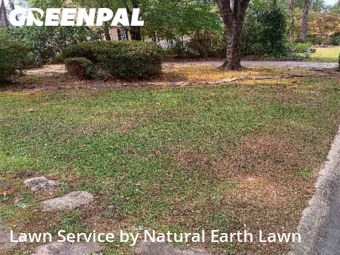 Lawn Care nearby Columbia, SC, 