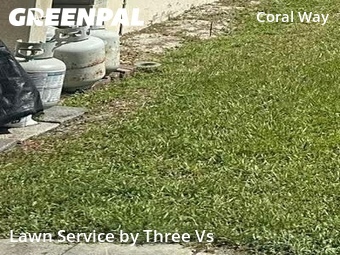 Yard Mowing nearby St. Petersburg, FL, 